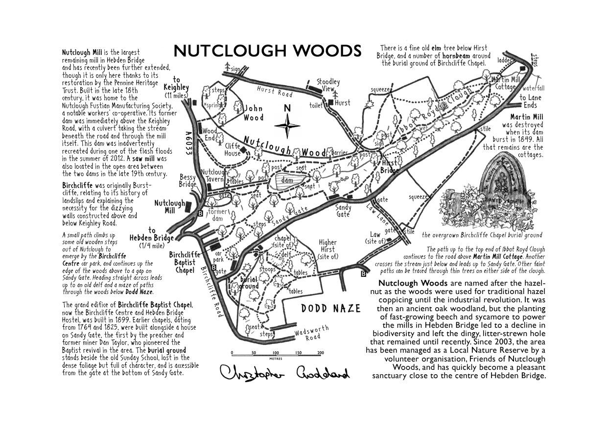 Art Print: Nutclough Woods