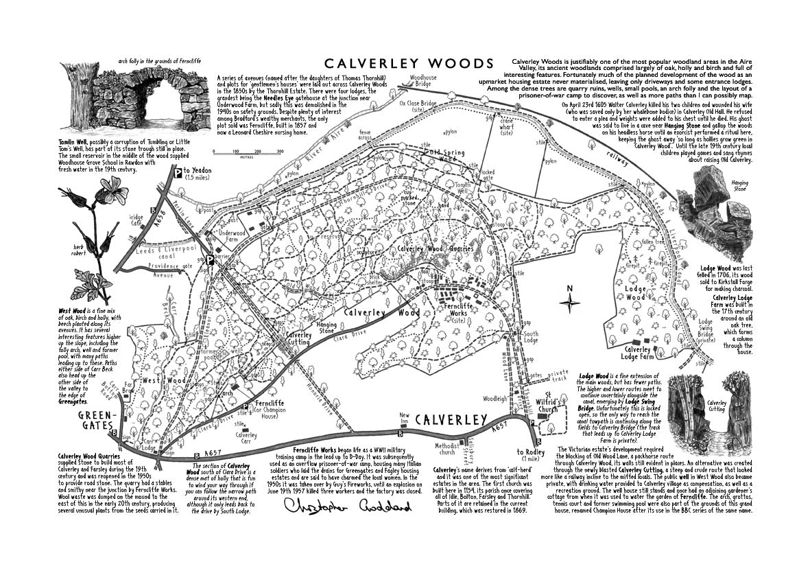 Art Print: Calverley Woods