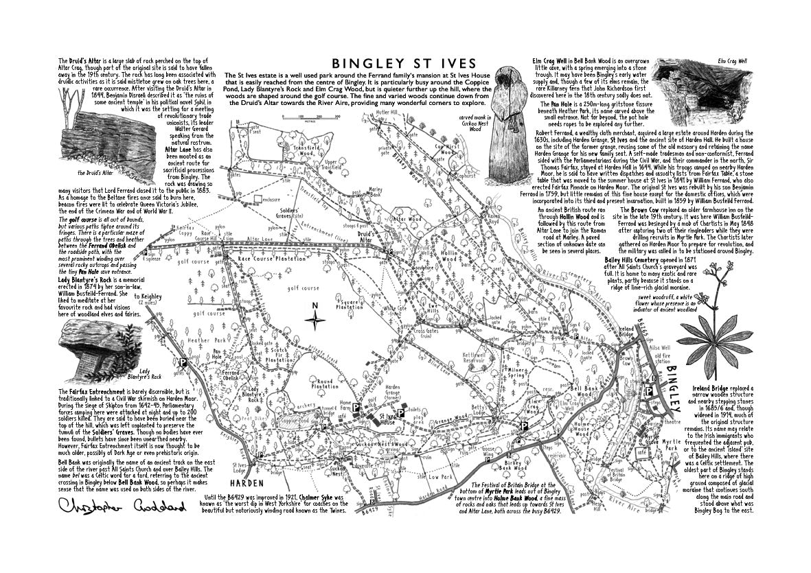 Art Print: Bingley St Ives