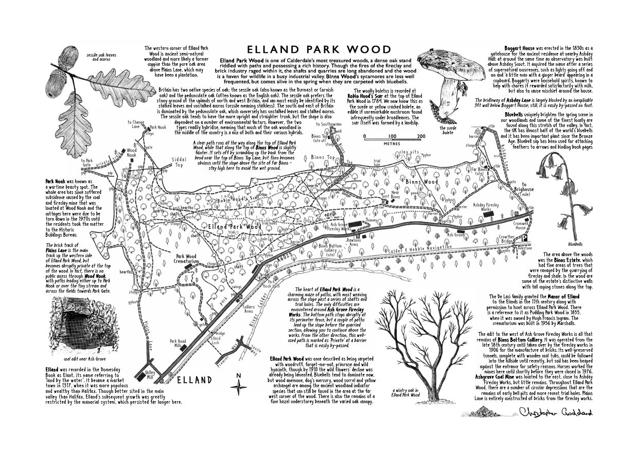 Art Print: Elland Park Wood