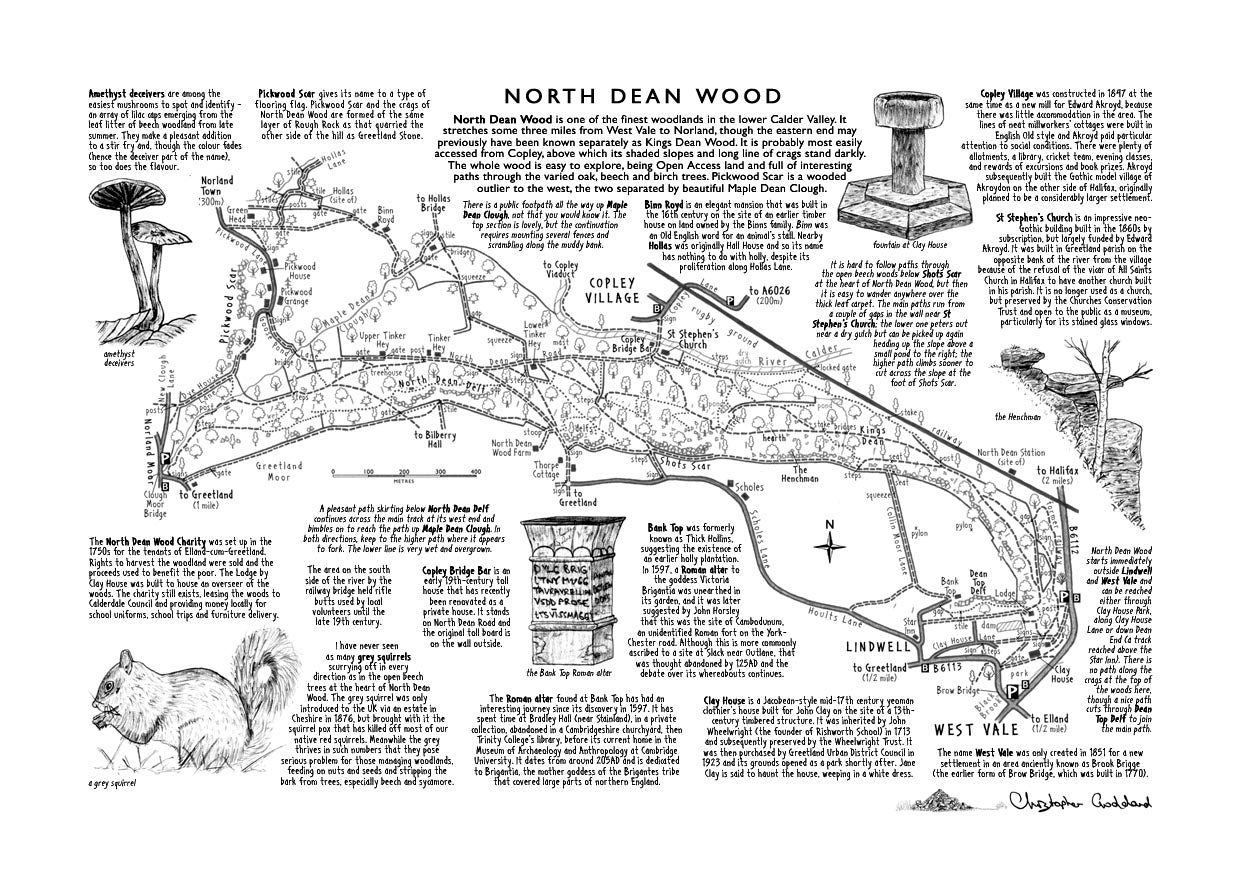 Art Print: North Dean Wood