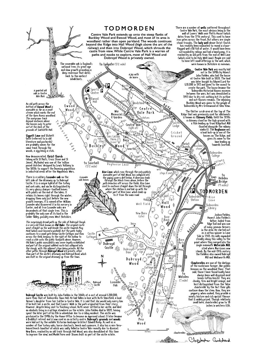 Art Print: Todmorden