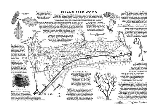 Art Print: Elland Park Wood