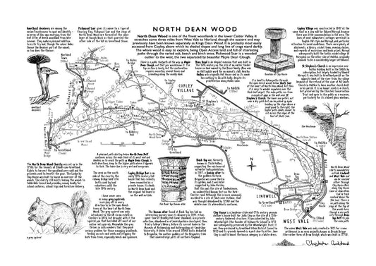Art Print: North Dean Wood